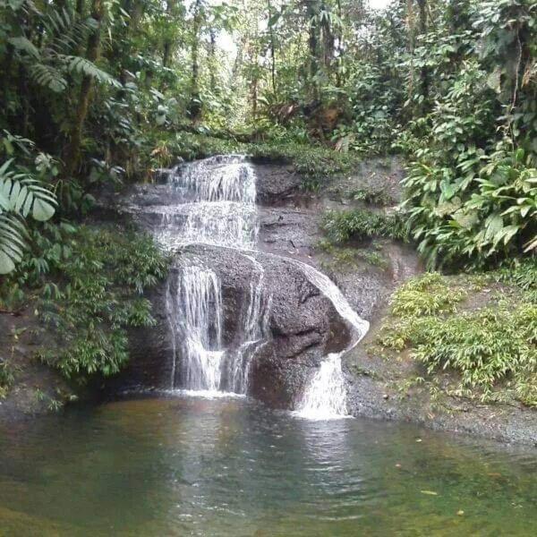 ホテル Casa Hospedaje Mayesty San Cipriano エクステリア 写真