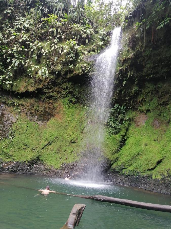 ホテル Casa Hospedaje Mayesty San Cipriano エクステリア 写真